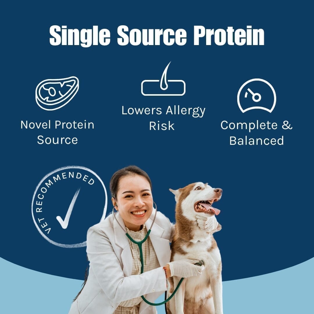 Pure Duck Wet Dog Food (France)