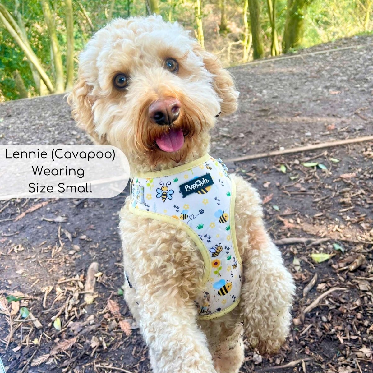 Adjustable Harness - Bee-utiful Summer