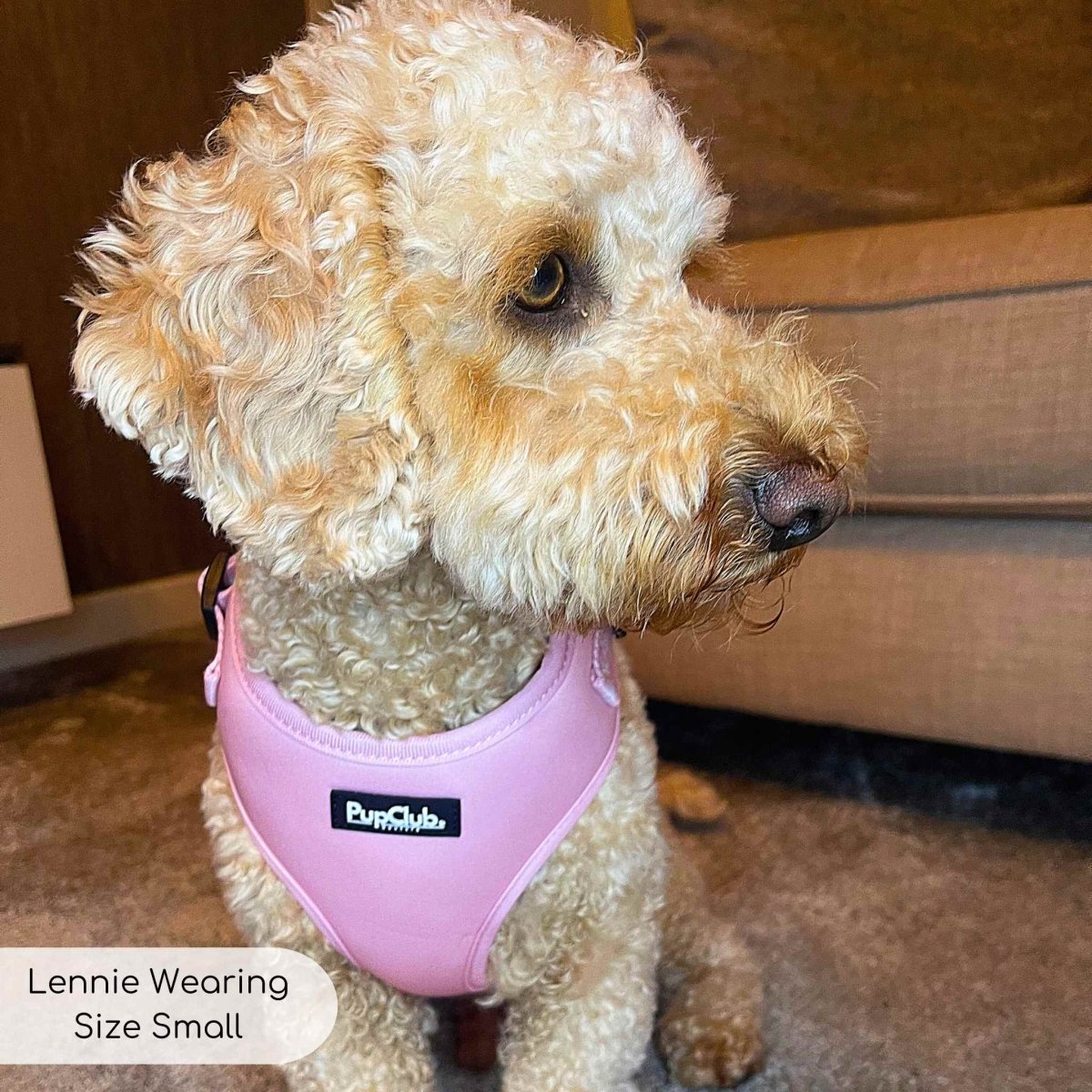 Adjustable Harness - Pastel Pink