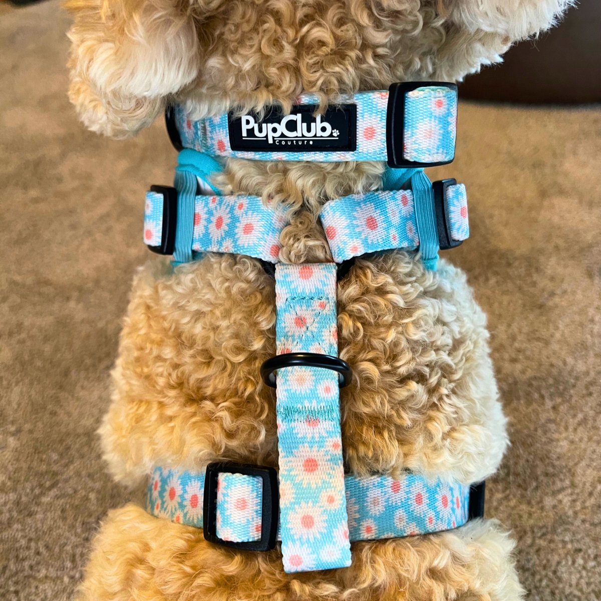 Collar - Pastel Daisy