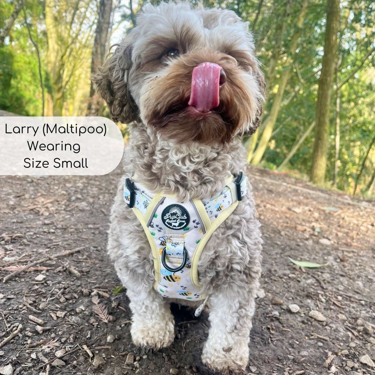Rugged Rover™ Harness - Bee-utiful Summer