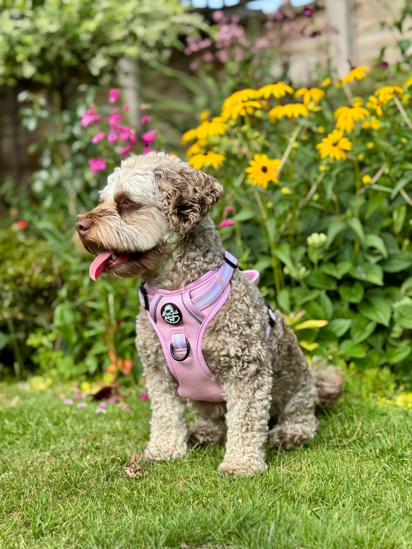 Rugged Rover™ Harness - Pastel Pink