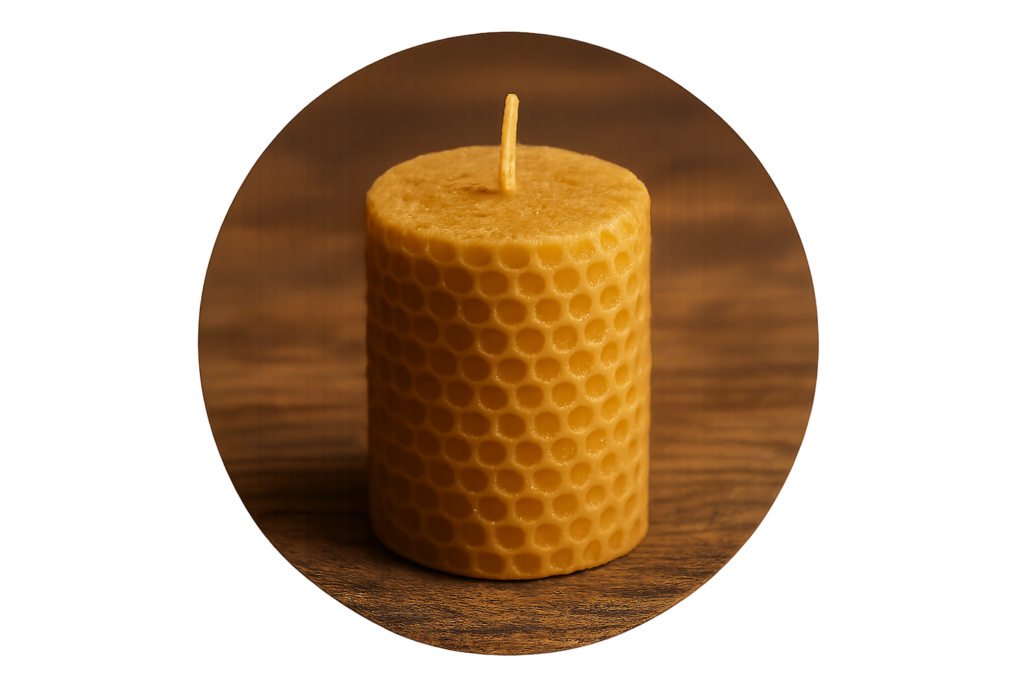 Let there Bee Light