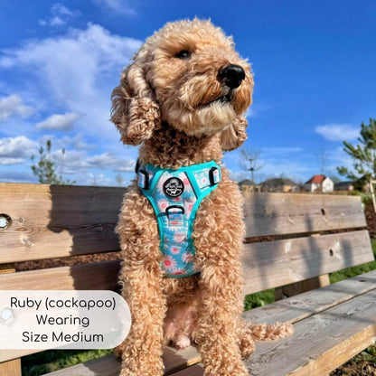 Rugged Rover™ Harness - Pastel Daisy