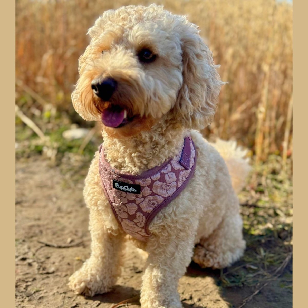 Luxe Adjustable Harness - Mocha Petals