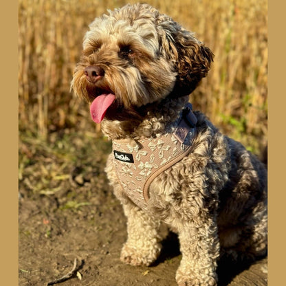 Luxe Adjustable Harness - Toffee Latte Petals