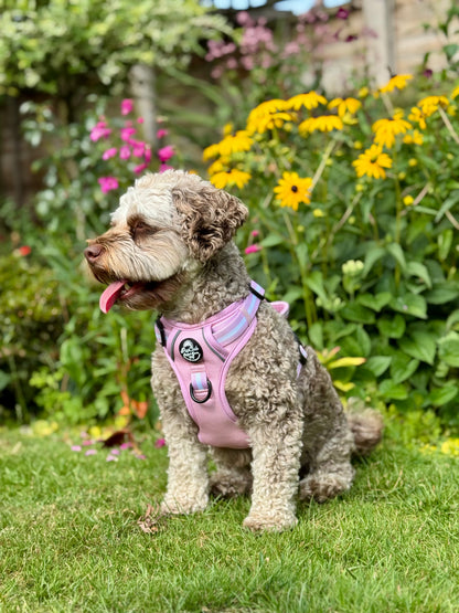Rugged Rover™ Harness - Pastel Pink